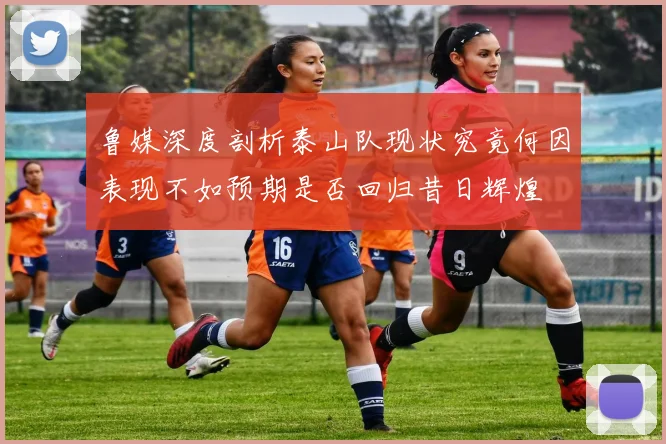 鲁媒深度剖析泰山队现状究竟何因表现不如预期是否回归昔日辉煌